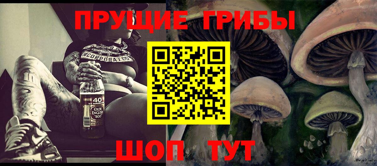 Галлюциногенные грибы Psilocybe Фрязино