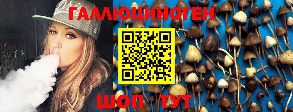 Фрязино  Псилоцибиновые грибы Psilocybe  Вход с VPN  Псилоцибиновые грибы Psilocybe 